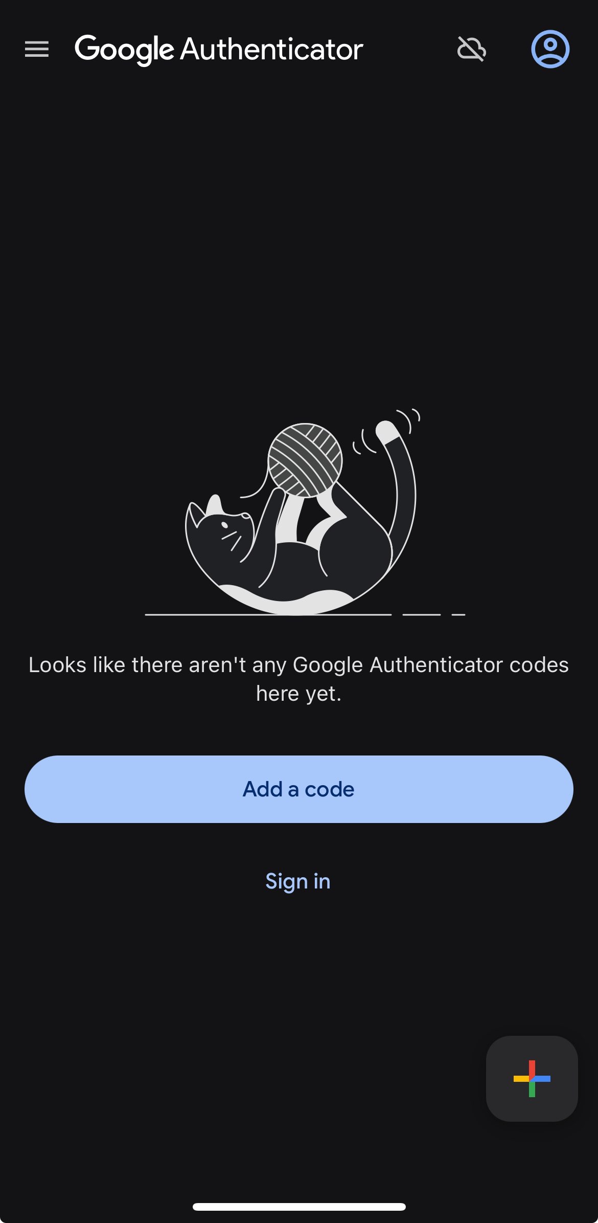 Ecran de autentificare 1